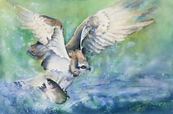 Anne Osberg, watercolor artist, wildlife painting